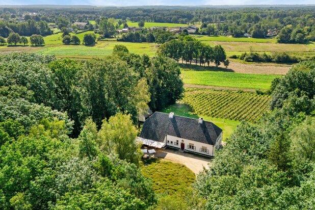 Prachtig wijndomein te Herselt op een perceel van circa 5,1 hectare