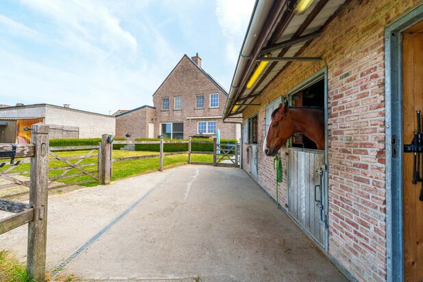 Villa met weide, stallen, piste en werkruimte op 8.595 m²