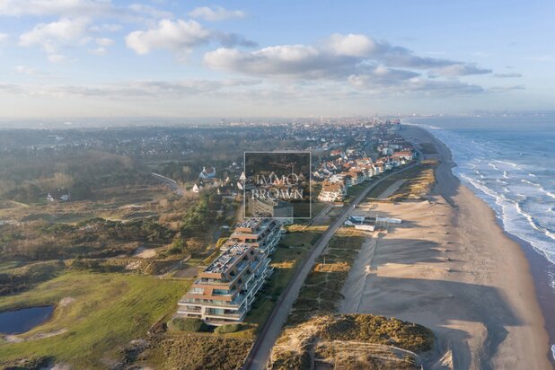 Knokke Zoute Wandeldijk Zwin 