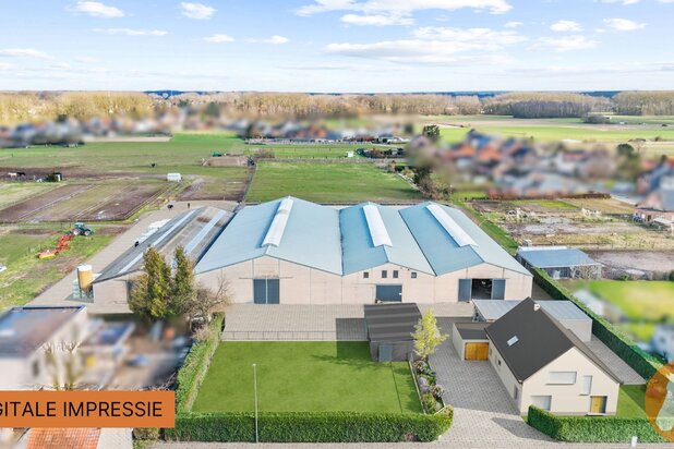 KAMPENHOUT - Professionele paardenaccommodatie op 4ha28