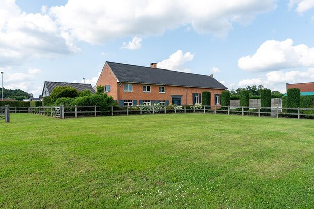 Maison avec écuries et piste sur environ 1 hectare à Heusden-Zolder