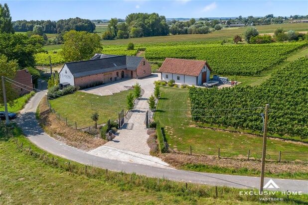 Domaine exclusif avec villa-ferme & vignoble