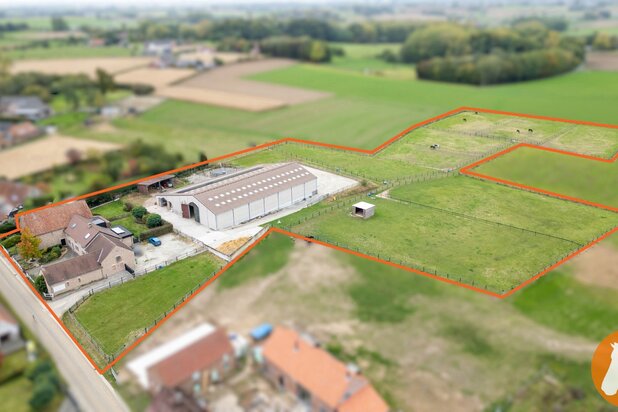 HERNE - Paardenaccomodatie met woning op 2,4ha