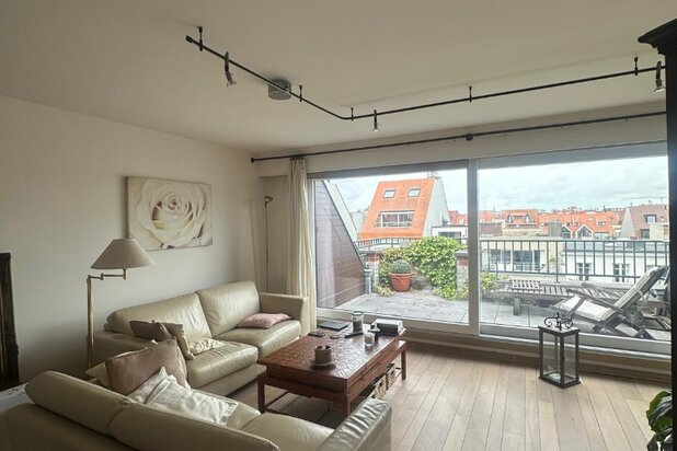 Spacieux appartement en triplex avec deux terrasses et cave