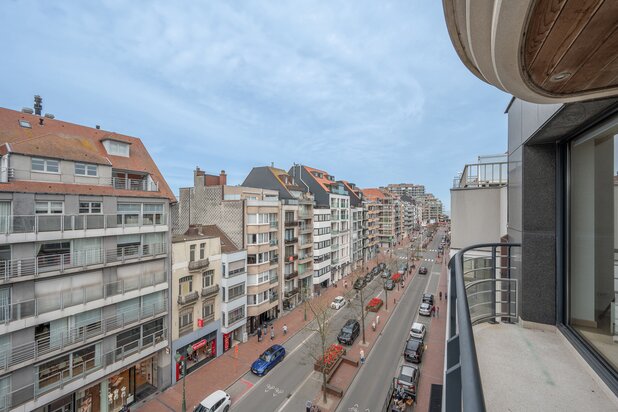 Ongemeubeld, ruim 3 SK-appartement op de Lippenslaan