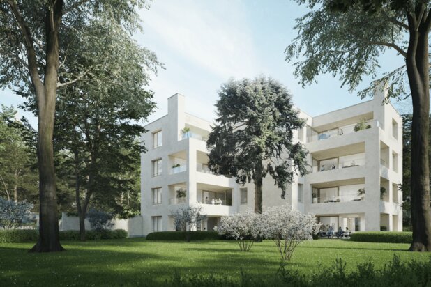 Laat u verwonderen over het project