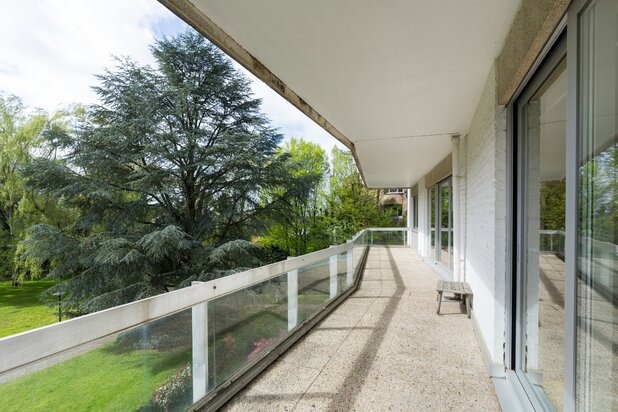 Floride - Langeveld dans un parc privé