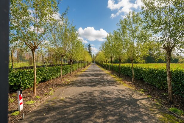 Exclusive residence on a 13,871 m² estate with swimming pool and pond