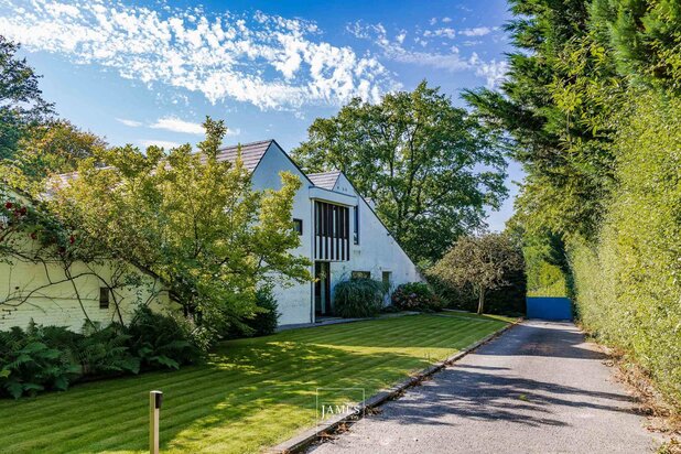 Villa d'architecte des années 70' en terrain de fond