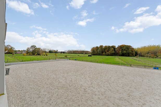 Hippische accommodatie te Dilbeek op 6ha