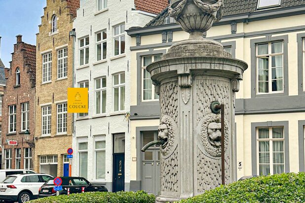 pas gerenoveerd diephuis op iconisch stadsplein, een meesterwerk van historiek en hedendaagse luxe