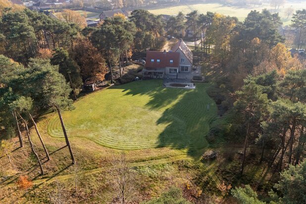 Villa met zwembad en privébos volledig omheind in Retie
