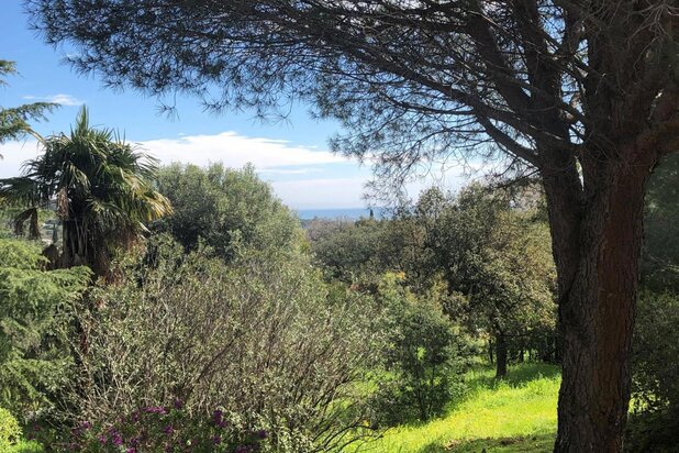 Provencal house to renovate with sea view  - in Grimaud.