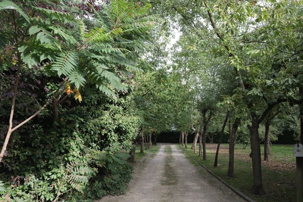 Une perle cachée à Sint-Anna sur 5.125 m²