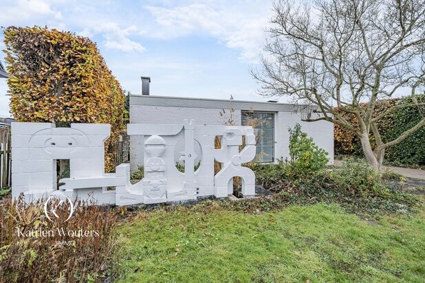 Organische architecten- en kunstenaarswoning