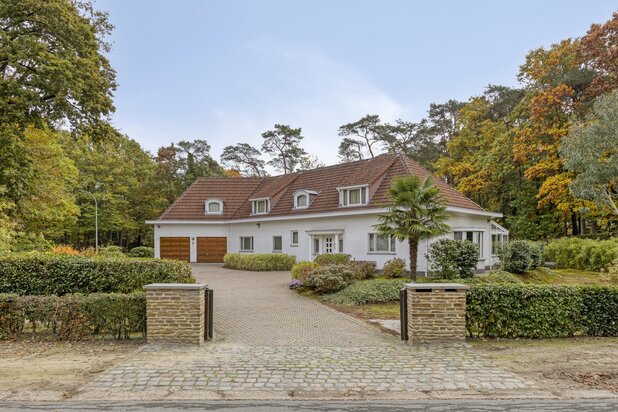 Ruime villa-woning op knap perceel van 30 are