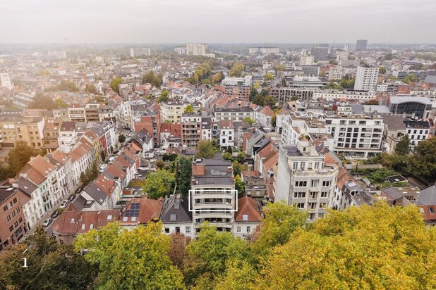 Ruim appartement  met frontaal parkzicht op topligging