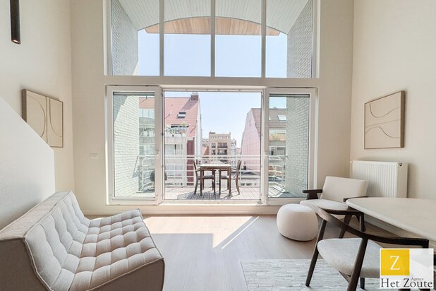 Gerenoveerd duplexappartement met ruim terras