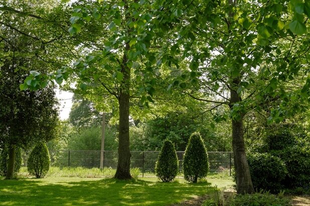 Opportuniteit! Eigendom op 1 Ha met buitengewone privileges