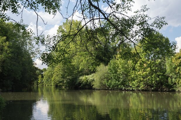 Vrijstaande villa (te renoveren) op slechts 50 meter van de Leie