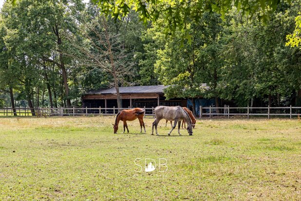 Prachtige landelijke villa met gezinstuin en graslanden op 32.558m²