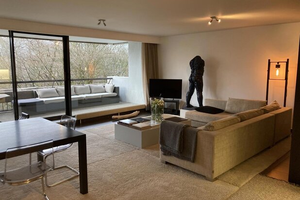 Spacious furnished apartment + parking