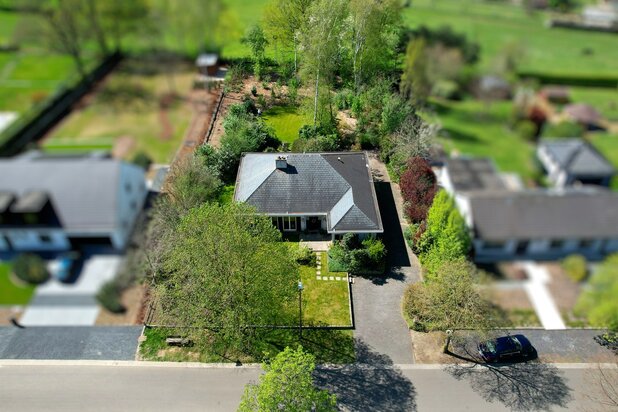 Rustig gelegen luxe-bungalow op een royaal groen perceel van 1.882m² in Tessenderlo