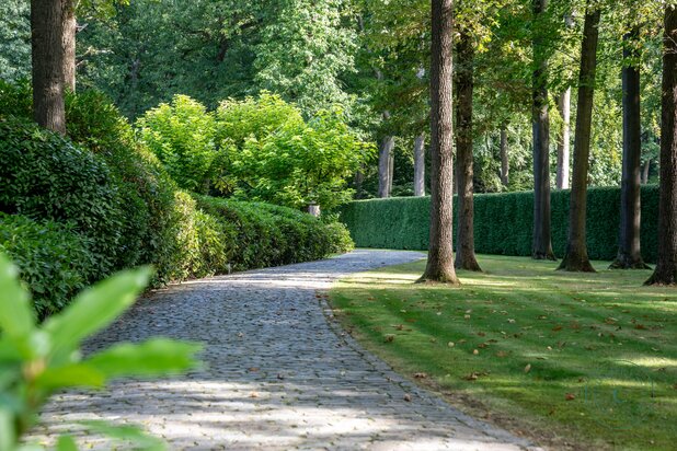 Unieke villa verscholen in het groen van Hertsberge