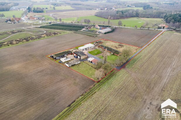 Maison 4 façades à Jabbeke, site unique