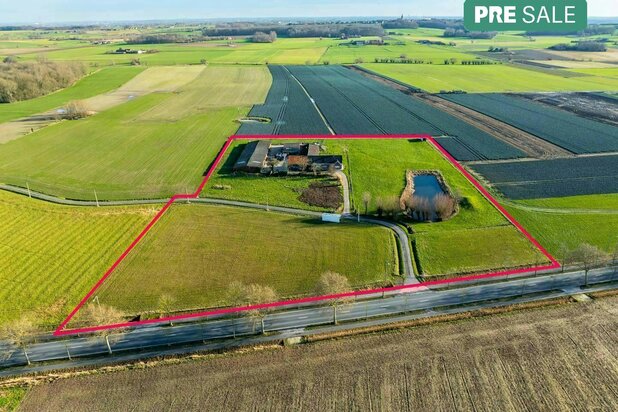 Ferme authentique à rénover avec un potentiel unique sur près de 3 hectares à Voormezele 