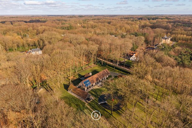 Uitzonderlijk domein Hertsberge bos