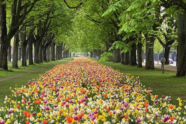 Project ANTHEA, Val Duchesse/Souverain - Penthouse 3 bedrooms + splendid terrace