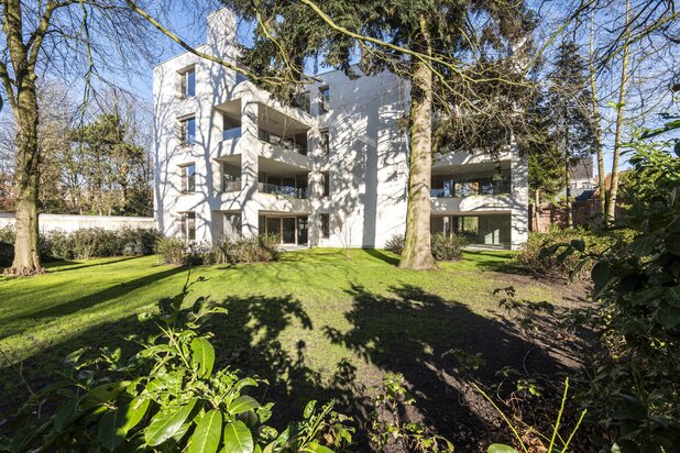 Laat u verwonderen over het project