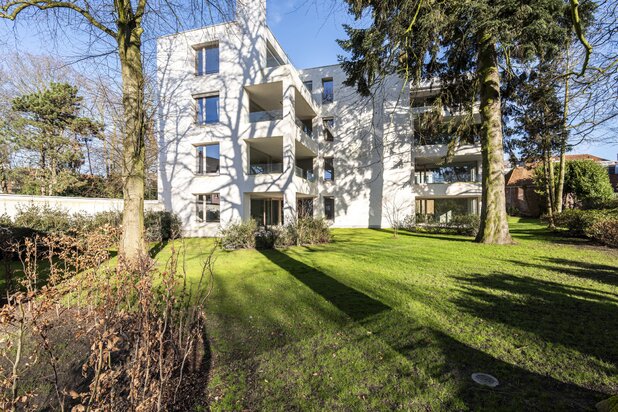 Laat u verwonderen over het project 