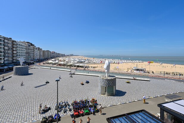 Zonnig appartement met prachtig zeezicht, gelegen aan het Rubensplein.