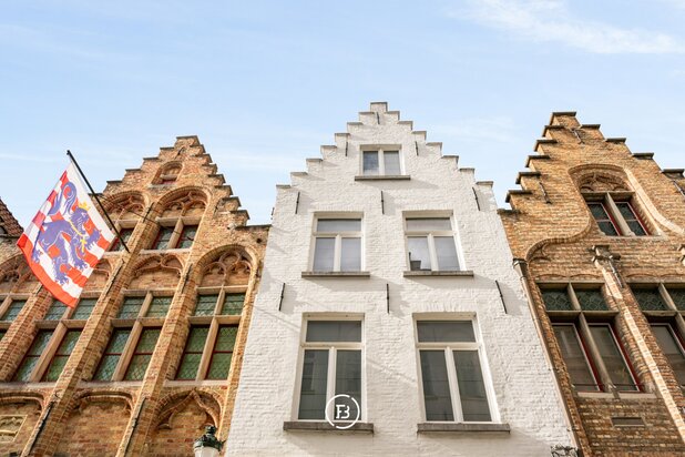 Maison de ville architecturale