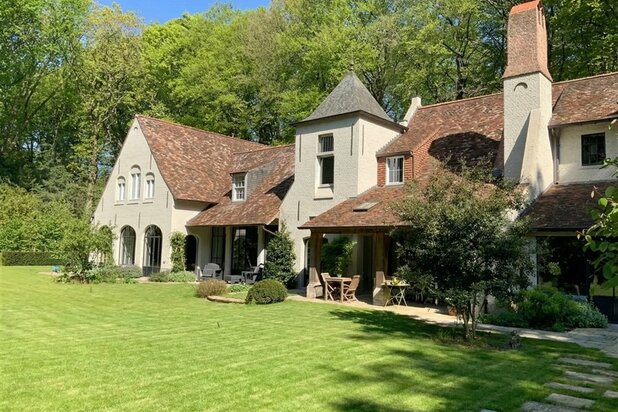 Majestueus Meesterwerk in de bossen van Hertsberge