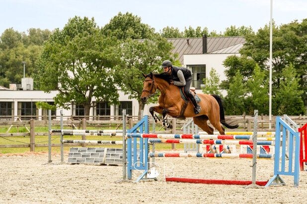 Prachtige villa met hippische accommodatie en graslanden mogelijkheid tot 23 ha