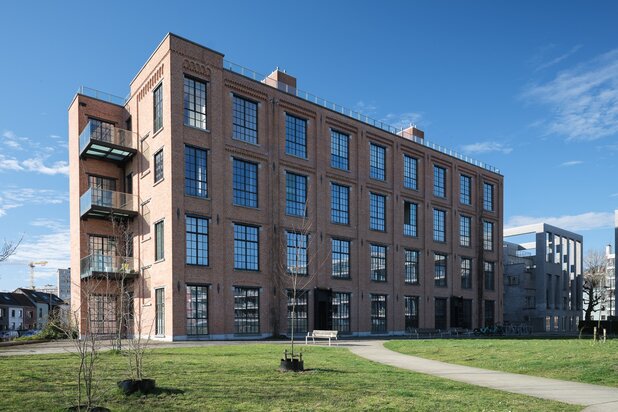 ️ Une loft-villa industrielle de 220 m² au-dessus du vert et bleu de Cotton Island