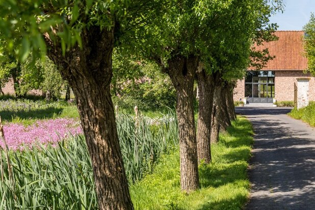 Unieke hoeve met uitzonderlijk potentieel 