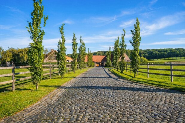 Country Villa on 3.4 Hectares Surrounded by Greenery