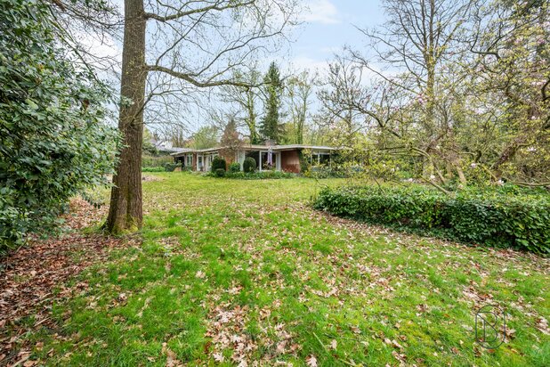 Topgelegen in de Rodenburg: te renoveren/af te breken villa