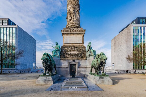 PRACHTIG HERENHUIS IN HET HARTJE VAN BRUSSEL