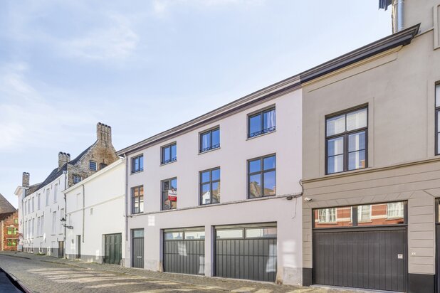 Gerenoveerde (2010) burgerwoning met dubbele garage