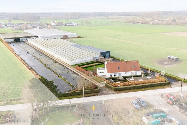 Prachtige villa met loods en serrecomplex op ± 2 HA te Laarne zonder bedrijfsovername