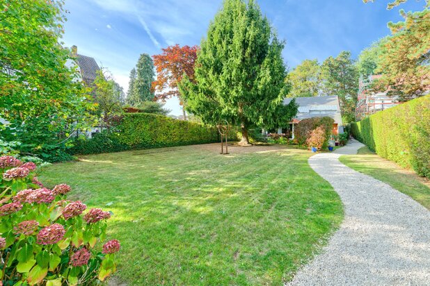 Vivier d'Oie-maison Serra di Migni - 4 bedrooms + office 