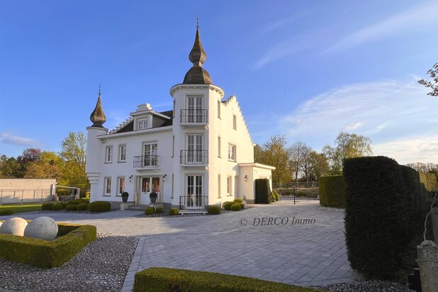 a STUNNING villa with a unique CHARM (currently a private residence + offices + granny flat)