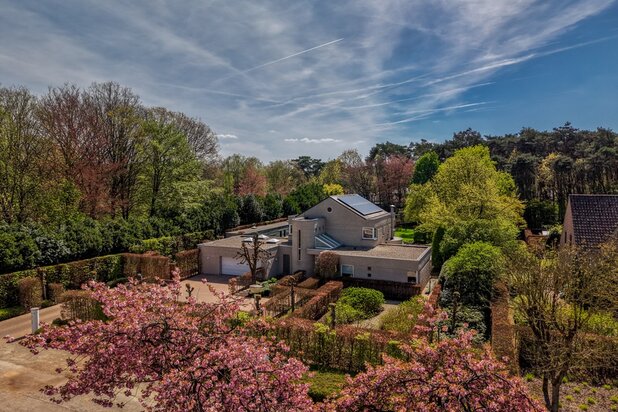 Architecturale villa op 3451 m² met 5 slaapkamers omgeven door natuur.