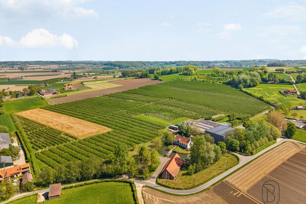 Unieke eigendom op 18 hectare te Kwaremont. 