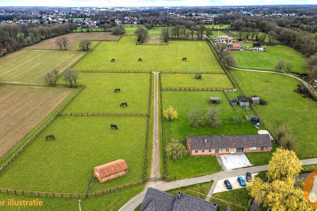 PAAL - Ruime langgevelhoeve op landelijke, centrale locatie